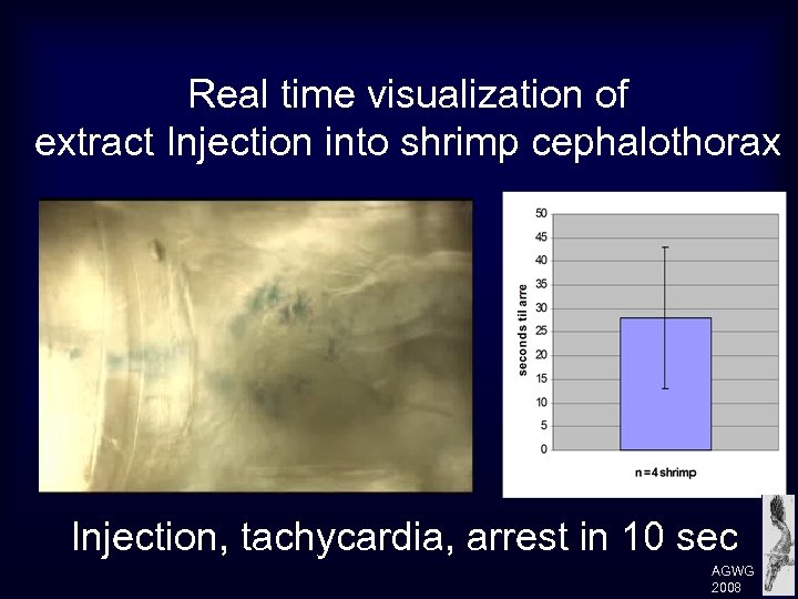 Real time visualization of extract Injection into shrimp cephalothorax Injection, tachycardia, arrest in 10