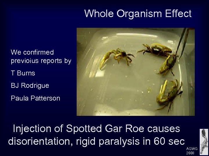 Whole Organism Effect We confirmed previoius reports by T Burns BJ Rodrigue Paula Patterson