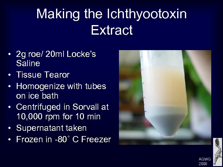 Making the Ichthyootoxin Extract • 2 g roe/ 20 ml Locke’s Saline • Tissue