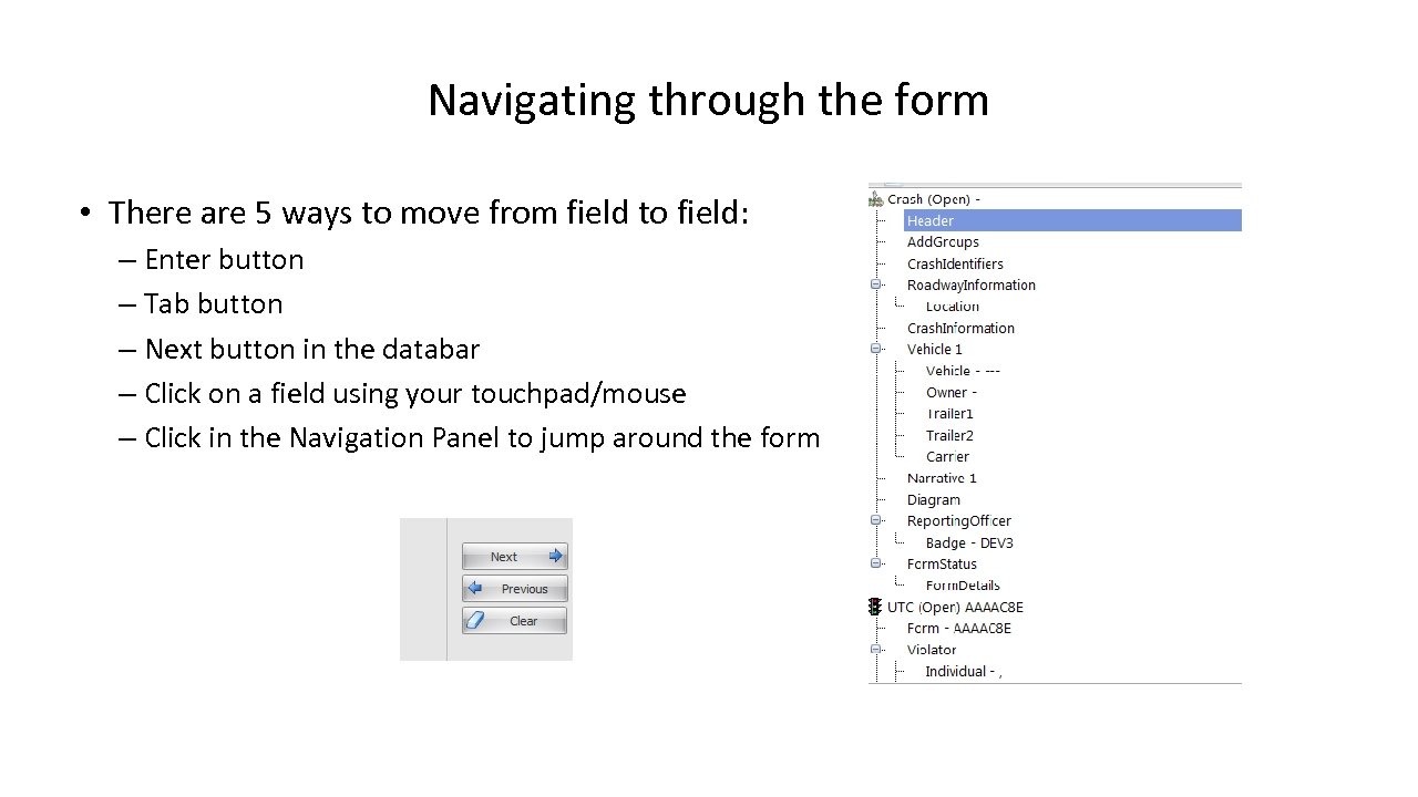 Navigating through the form • There are 5 ways to move from field to