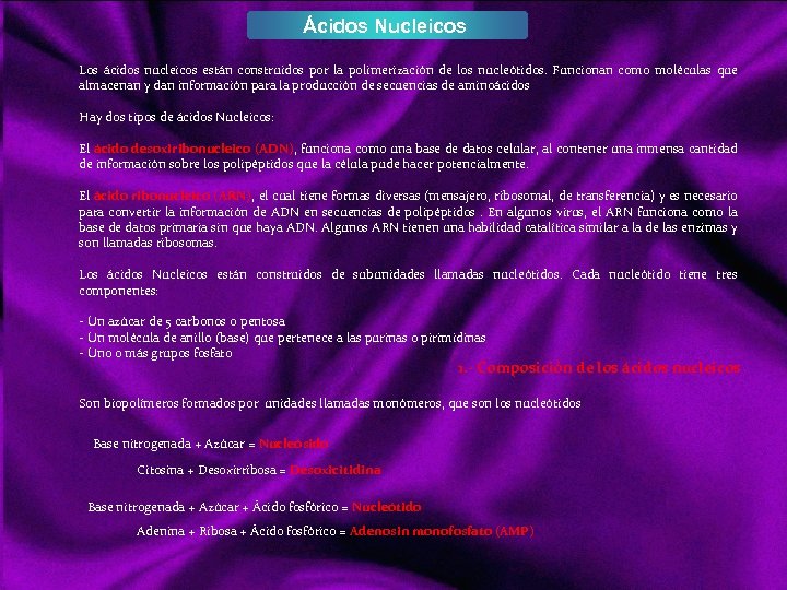 Ácidos Nucleicos Los ácidos nucleicos están construidos por la polimerización de los nucleótidos. Funcionan