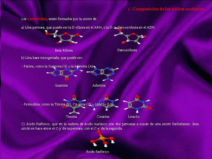 1. - Composición de los ácidos nucleicos Los nucleótidos, están formados por la unión