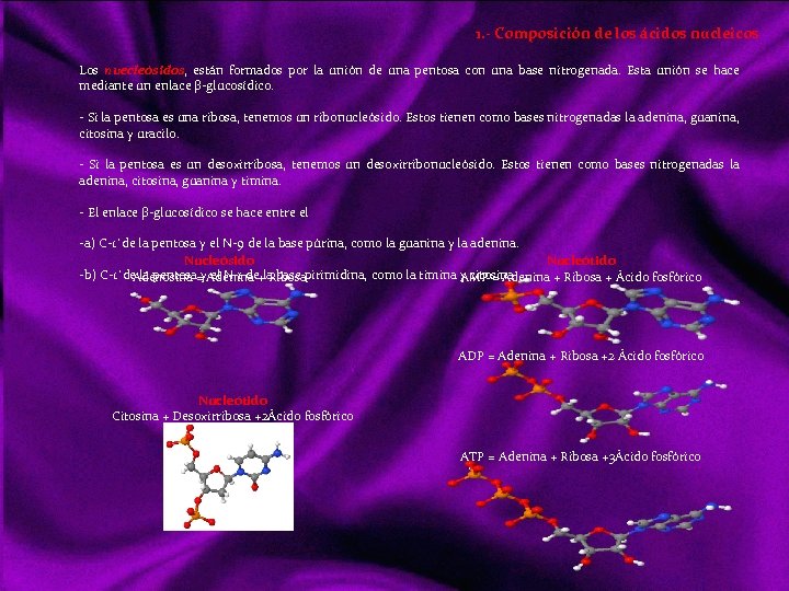 1. - Composición de los ácidos nucleicos Los nuecleósidos, están formados por la unión