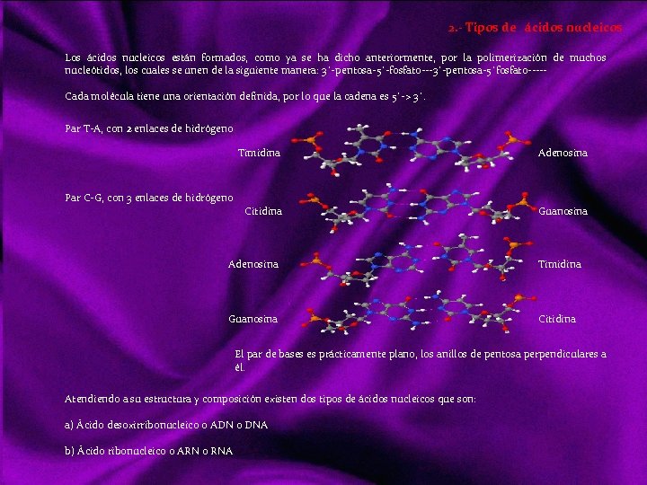 2. - Tipos de ácidos nucleicos Los ácidos nucleicos están formados, como ya se