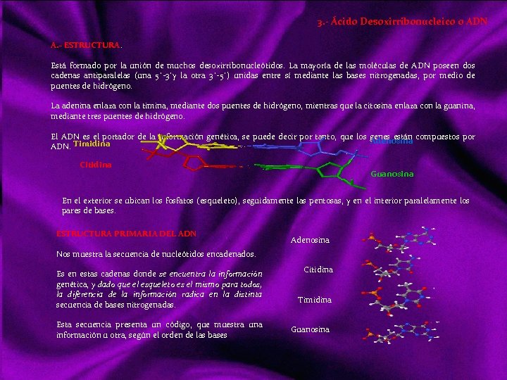 3. - Ácido Desoxirribonucleico o ADN A. - ESTRUCTURA. Está formado por la unión