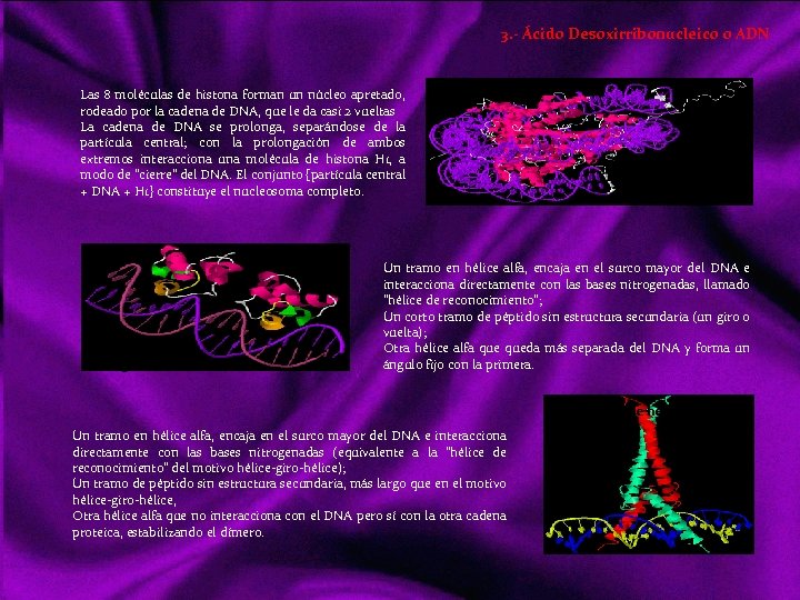 3. - Ácido Desoxirribonucleico o ADN Las 8 moléculas de histona forman un núcleo