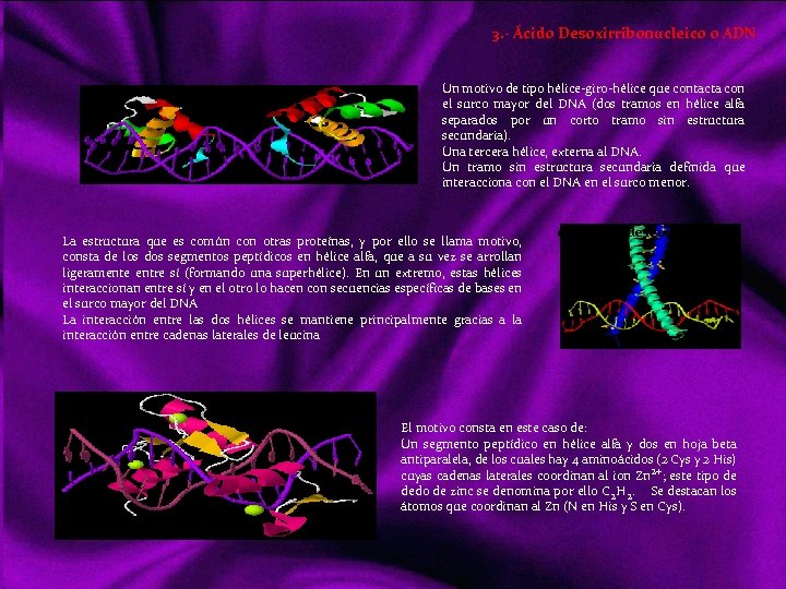3. - Ácido Desoxirribonucleico o ADN Un motivo de tipo hélice giro hélice que