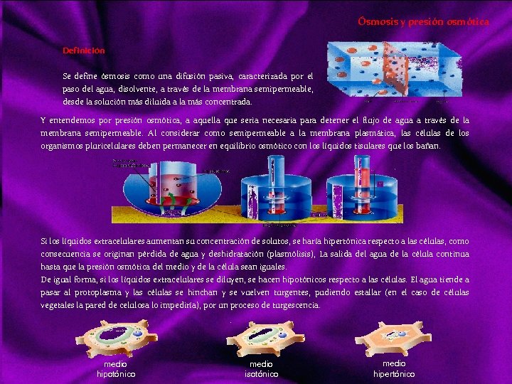 Ósmosis y presión osmótica Definición Se define ósmosis como una difusión pasiva, caracterizada por