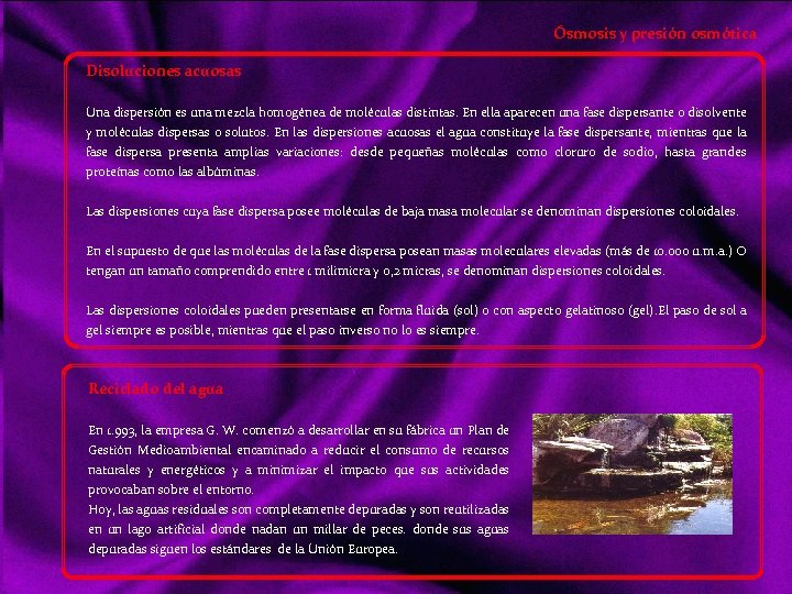 Ósmosis y presión osmótica Disoluciones acuosas Una dispersión es una mezcla homogénea de moléculas