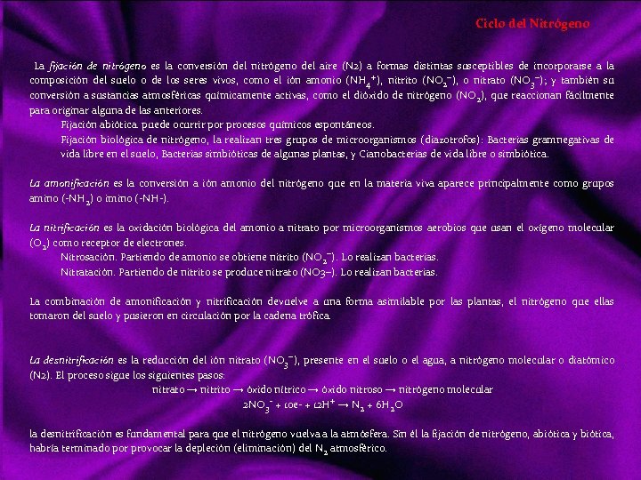 Ciclo del Nitrógeno La fijación de nitrógeno es la conversión del nitrógeno del aire