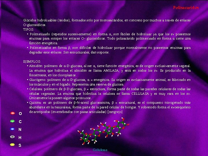 Polisacaridos Glúcidos hidrolizables (ósidos), formados sólo por monosacáridos, en concreto por muchos a través