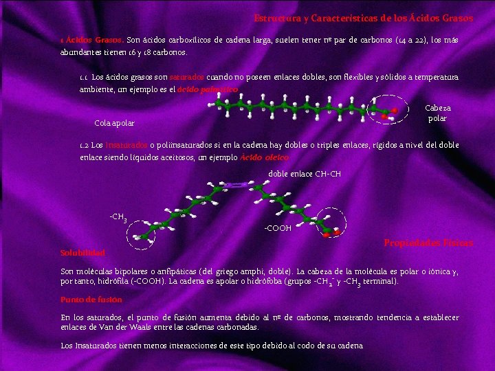 Estructura y Características de los Ácidos Grasos 1 Ácidos Grasos. Son ácidos carboxílicos de