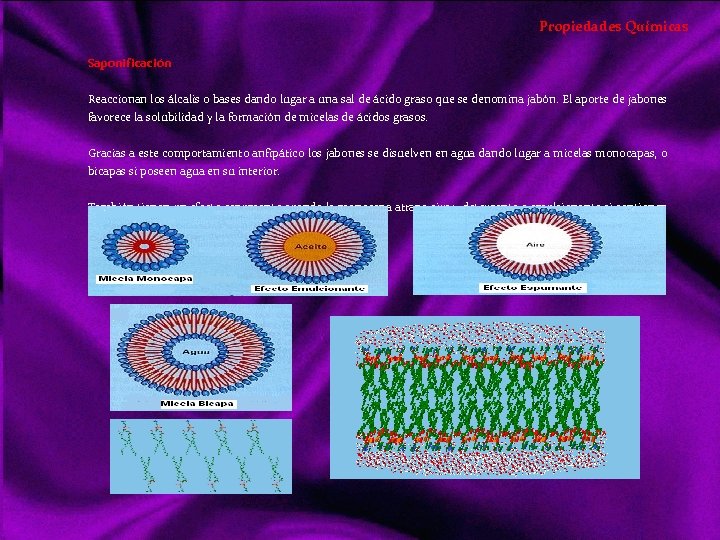Propiedades Químicas Saponificación Reaccionan los álcalis o bases dando lugar a una sal de