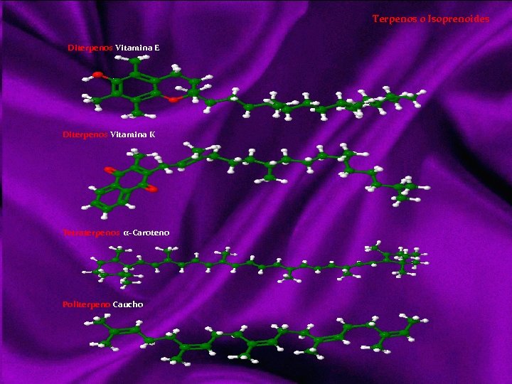 Terpenos o Isoprenoides Diterpenos Vitamina E Diterpenos Vitamina K Tetraterpenos α-Caroteno Politerpeno Caucho 