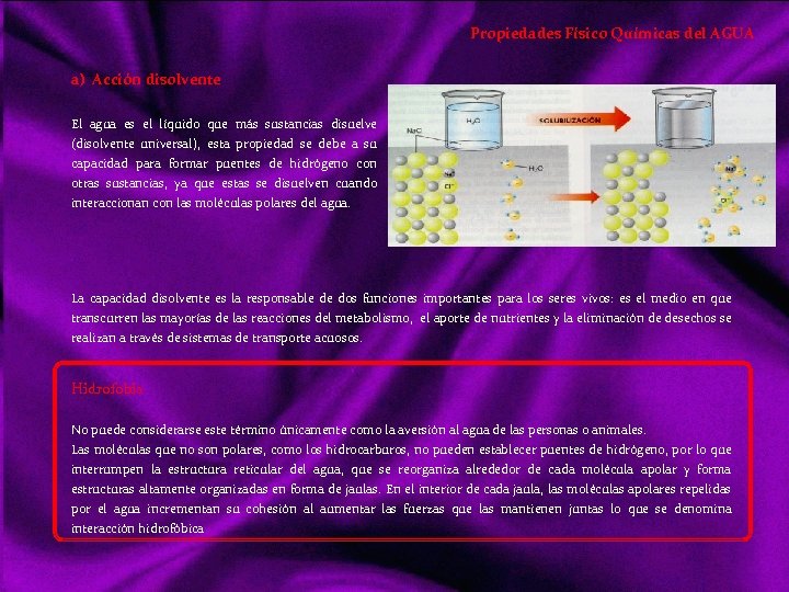 Propiedades Físico Químicas del AGUA a) Acción disolvente El agua es el líquido que