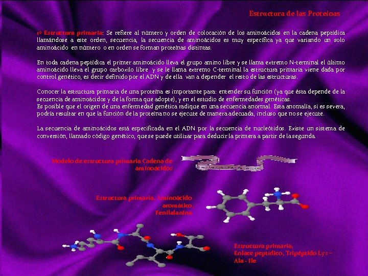 Estructura de las Proteínas 1º Estructura primaria: Se refiere al número y orden de