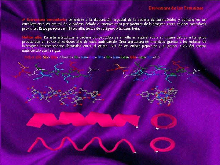 Estructura de las Proteínas 2ª Estructura secundaria: se refiere a la disposición espacial de