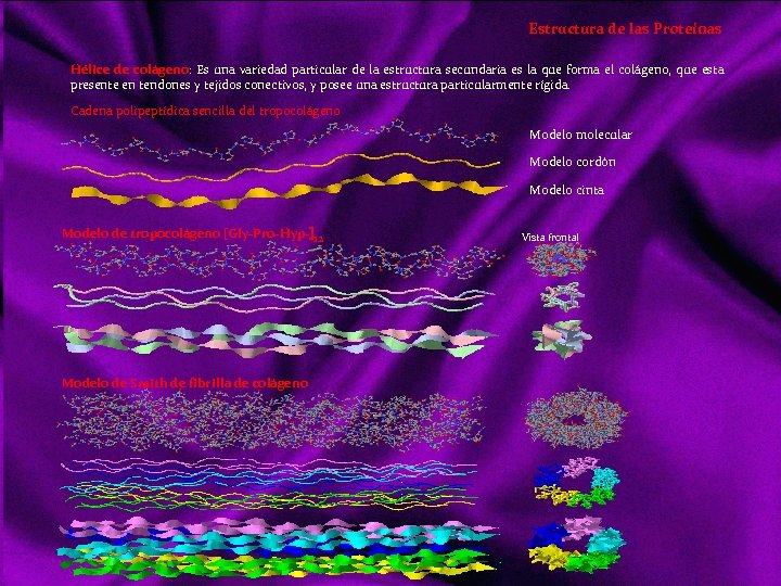Estructura de las Proteínas Hélice de colágeno: Es una variedad particular de la estructura