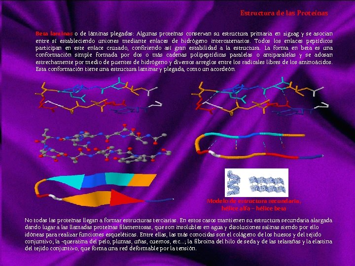 Estructura de las Proteínas Beta laminas o de láminas plegadas: Algunas proteínas conservan su
