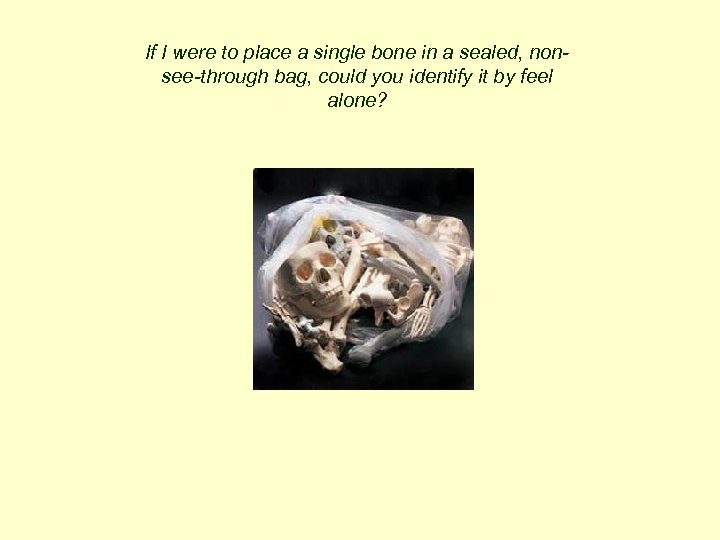 If I were to place a single bone in a sealed, nonsee-through bag, could