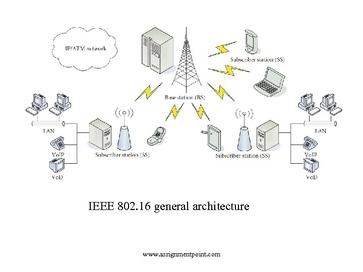 IEEE 802. 16 general architecture www. assignmentpoint. com 
