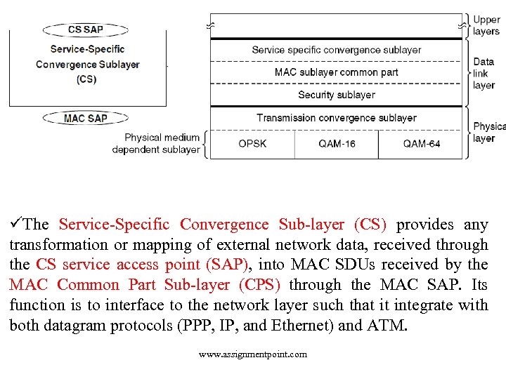 üThe Service-Specific Convergence Sub-layer (CS) provides any transformation or mapping of external network data,