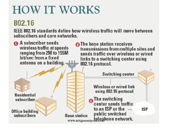 Broadband Wireless www. assignmentpoint. com 