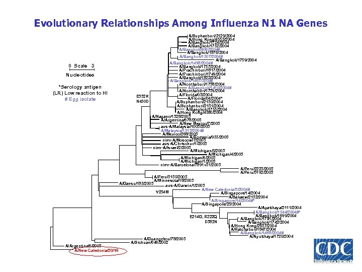 Evolutionary Relationships Among Influenza N 1 NA Genes 0 Scale 3 Nucleotides *Serology antigen