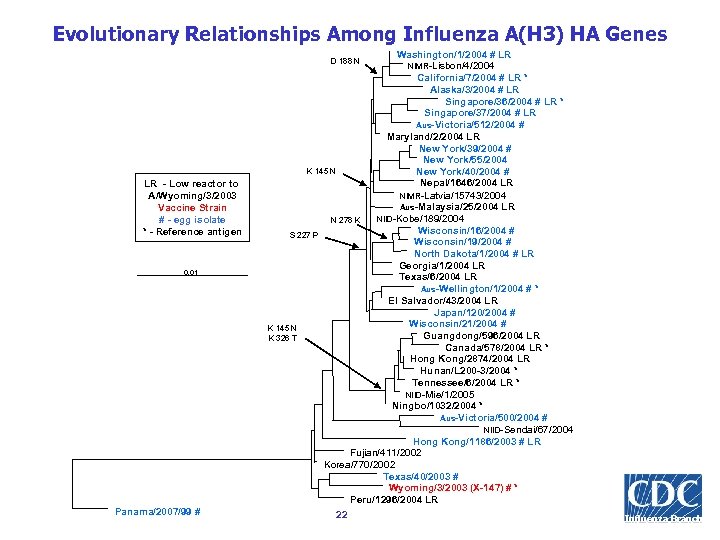 Evolutionary Relationships Among Influenza A(H 3) HA Genes Washington/1/2004 # LR NIMR-Lisbon/4/2004 California/7/2004 #