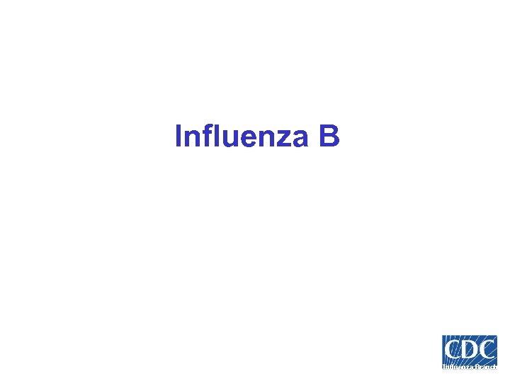 Influenza Branch 