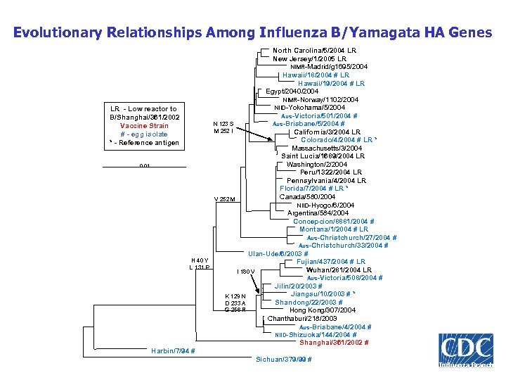 Evolutionary Relationships Among Influenza B/Yamagata HA Genes LR - Low reactor to B/Shanghai/361/2002 Vaccine