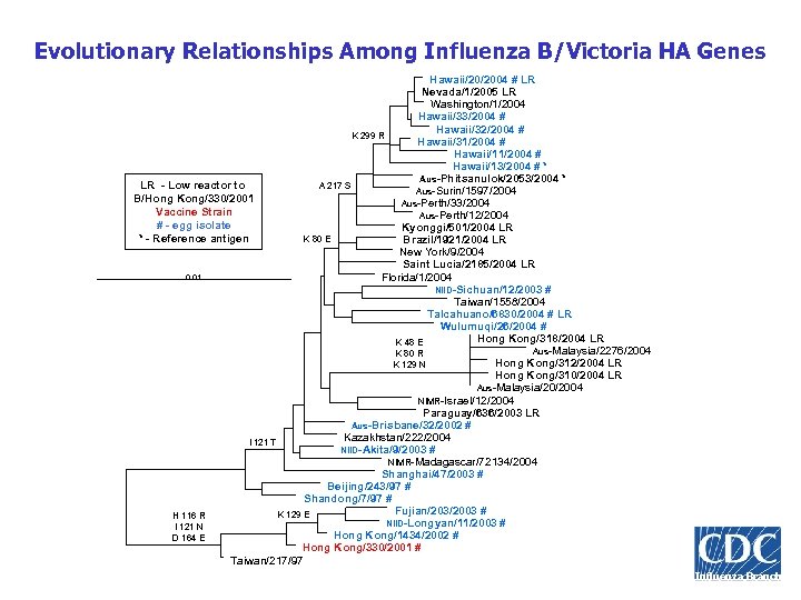 Evolutionary Relationships Among Influenza B/Victoria HA Genes Hawaii/20/2004 # LR Nevada/1/2005 LR Washington/1/2004 Hawaii/33/2004