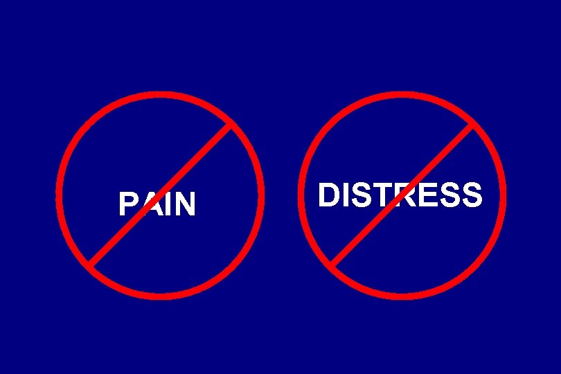 PAIN DISTRESS 