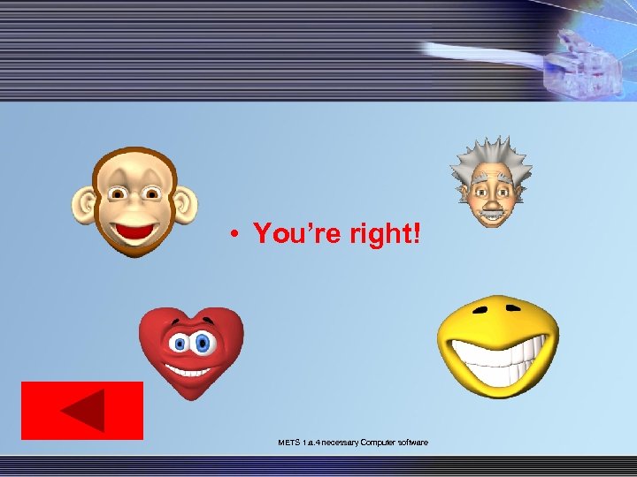  • You’re right! METS 1. a. 4 necessary Computer software 