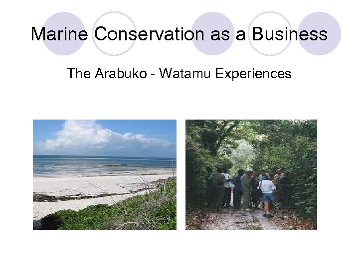 Marine Conservation as a Business The Arabuko - Watamu Experiences 