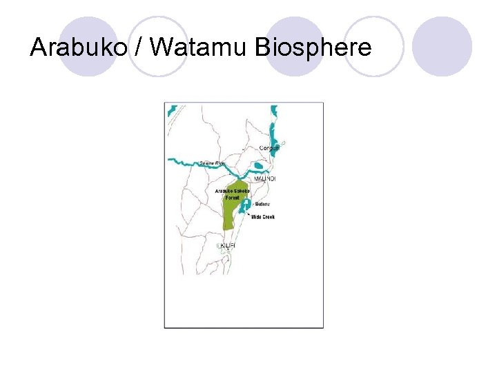 Arabuko / Watamu Biosphere 