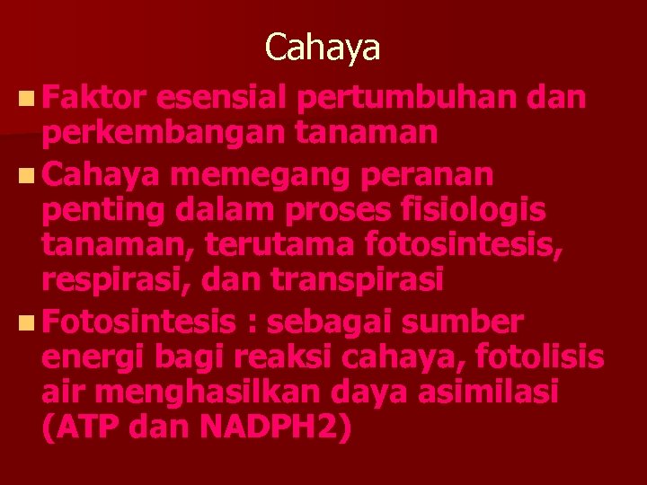 Cahaya n Faktor esensial pertumbuhan dan perkembangan tanaman n Cahaya memegang peranan penting dalam