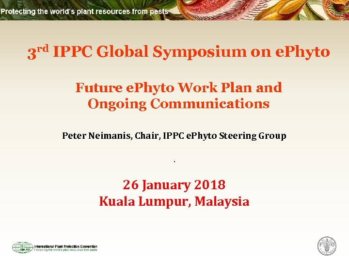 3 rd IPPC Global Symposium on e. Phyto Future e. Phyto Work Plan and