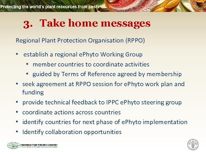 3. Take home messages Regional Plant Protection Organisation (RPPO) • establish a regional e.