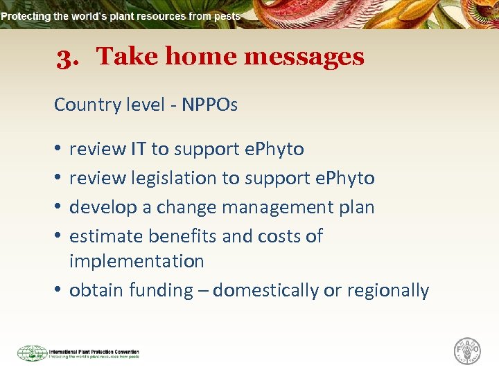 3. Take home messages Country level - NPPOs review IT to support e. Phyto