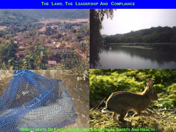 THE LAWS, THE LEADERSHIP AND COMPLIANCE DIRECTORATE OF FACTORIES, BOILERS, INDUSTRIAL SAFETY AND HEALTH