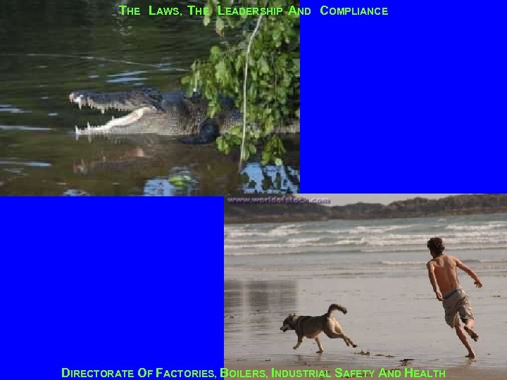 THE LAWS, THE LEADERSHIP AND COMPLIANCE DIRECTORATE OF FACTORIES, BOILERS, INDUSTRIAL SAFETY AND HEALTH