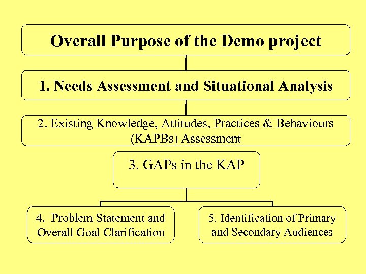 Overall Purpose of the Demo project 1. Needs Assessment and Situational Analysis 2. Existing