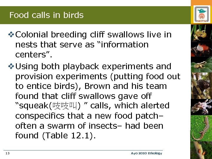 Food calls in birds v Colonial breeding cliff swallows live in nests that serve