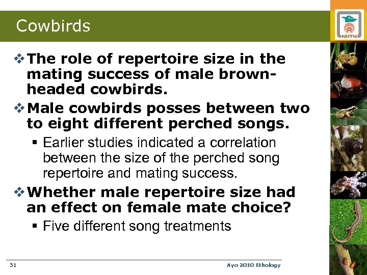 Cowbirds v The role of repertoire size in the mating success of male brownheaded