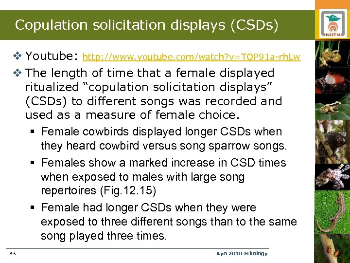 Copulation solicitation displays (CSDs) v Youtube: http: //www. youtube. com/watch? v=TQP 91 a-rh. Lw