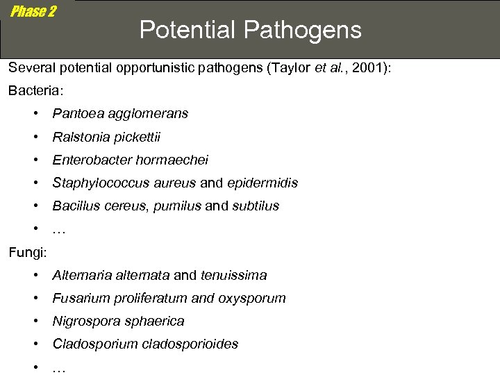 Phase 2 Potential Pathogens Several potential opportunistic pathogens (Taylor et al. , 2001): Bacteria: