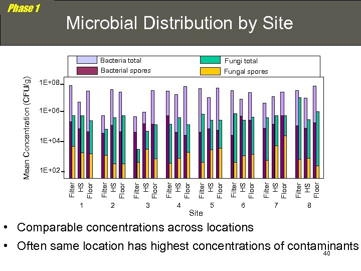 Phase 1 Microbial Distribution by Site Fungi total Fungal spores 1 E+08 1 E+06