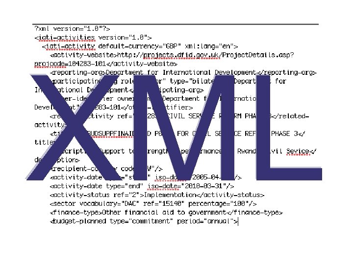XML 
