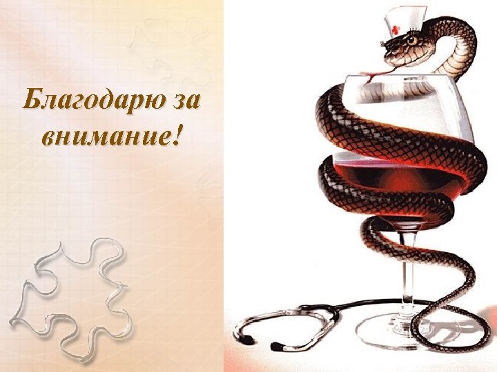 Благодарю за внимание! 